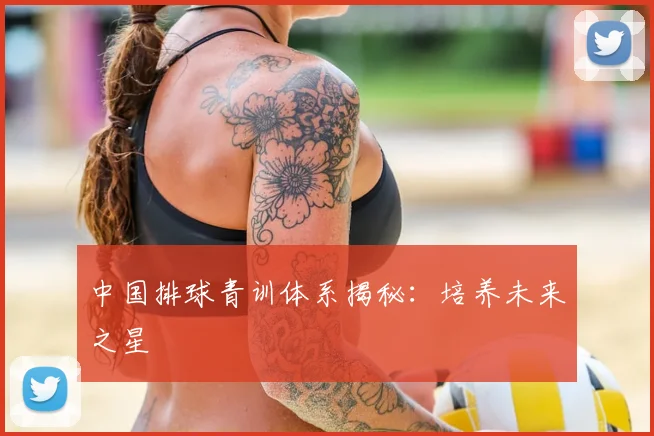 中国排球青训体系揭秘：培养未来之星