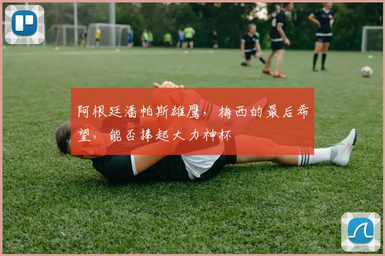 阿根廷潘帕斯雄鹰,梅西的最后希望,能否捧起大力神杯